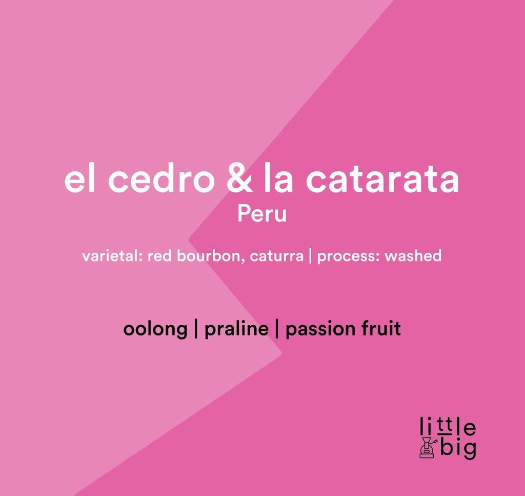 El Cedro & La Catarata, Peru, Filter