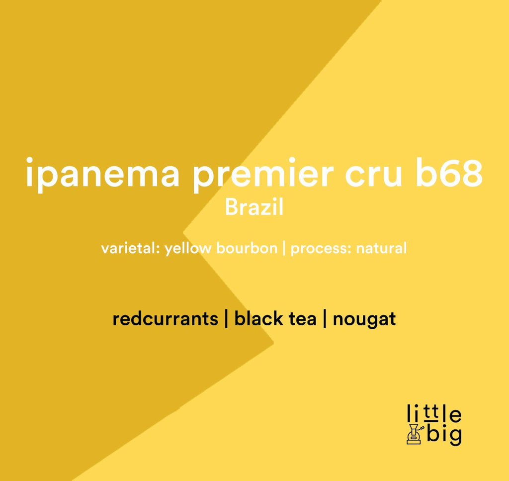 Ipanema Premier Cru Colina 
D'Oro B68 Apricot Black , Brazil, Espresso