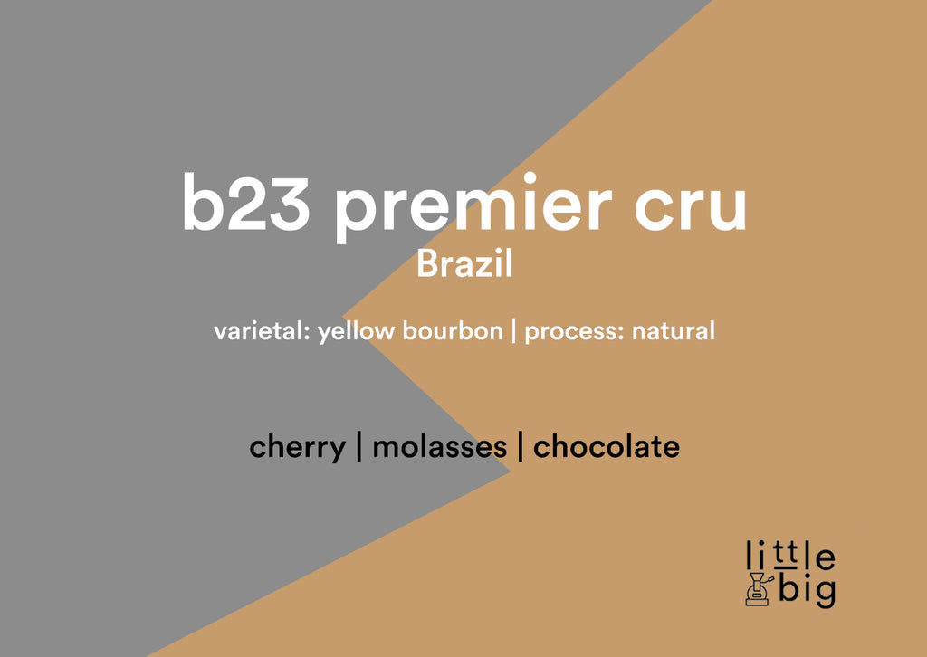 Brazil, B23 Premier Cru, Filter