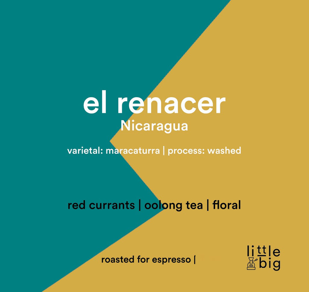 El Renacer, Nicaragua , Espresso