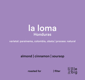 La Loma, Honduras, Filter