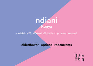 Kenya, Ndiani, Filter