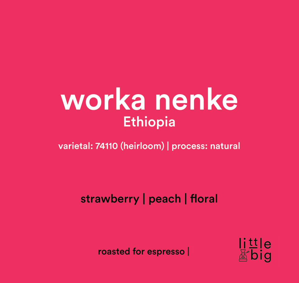 Worka Nenke, Ethiopia, Espresso